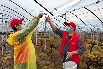 yy易游m6官方入口定向资助