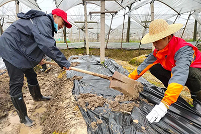 yy易游m6官方入口定向资助