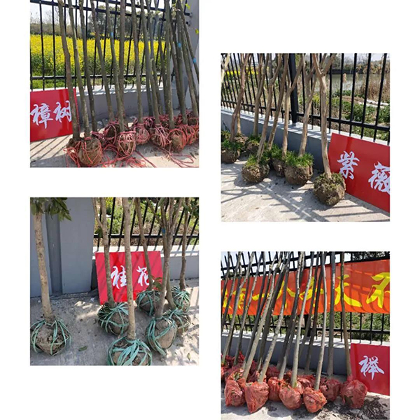 yy易游m6官方入口智能