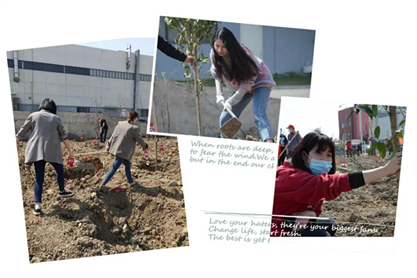 yy易游m6官方入口智能