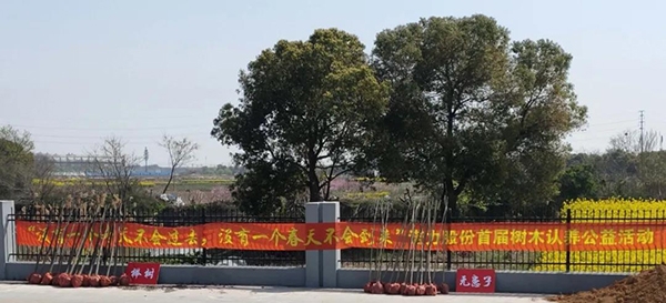 yy易游m6官方入口股份树木认养公益活动